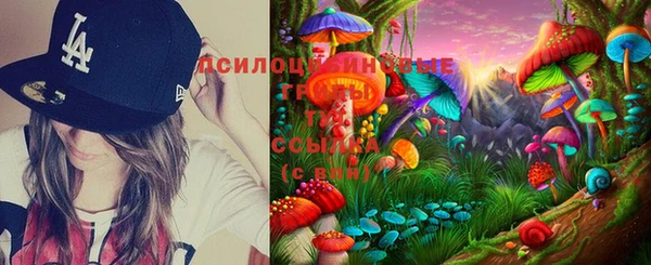 мдма Белокуриха