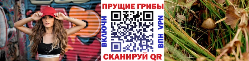 Псилоцибиновые грибы ЛСД  Верхотурье 